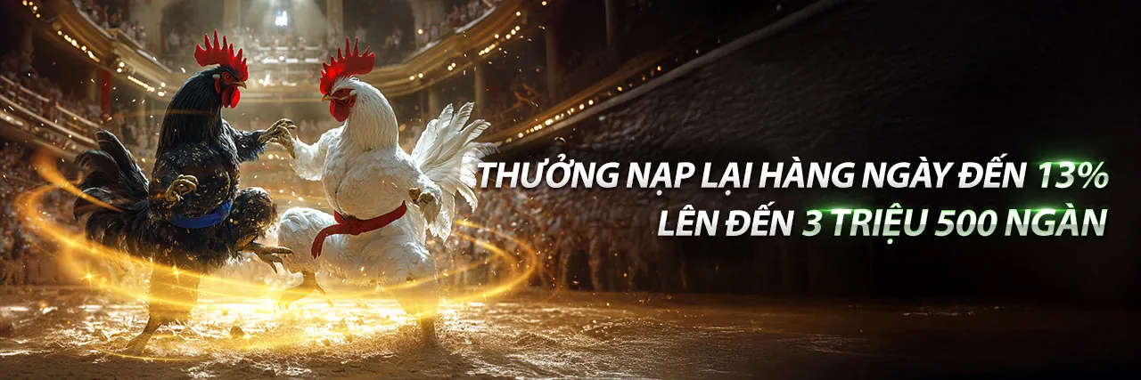 Đá Gà Trực Tiếp 798bet Link Mới